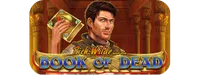 Book of Dead slot